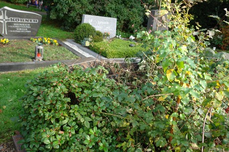 friedhof-rath-heumar