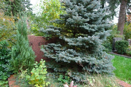 friedhof-rath-heumar