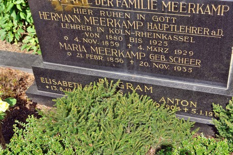 friedhof