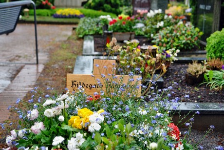 friedhof