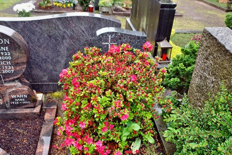 friedhof