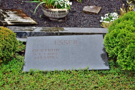 friedhof