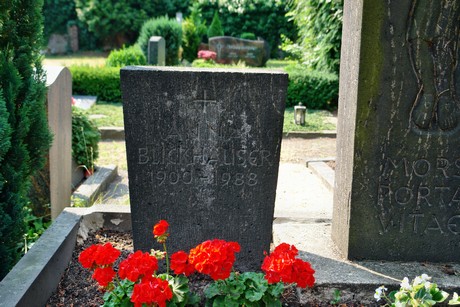 friedhof