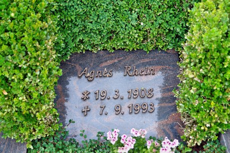 friedhof
