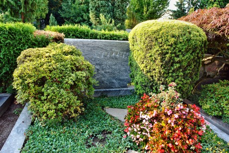 friedhof