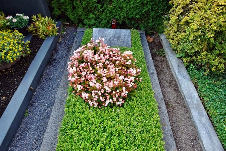 friedhof