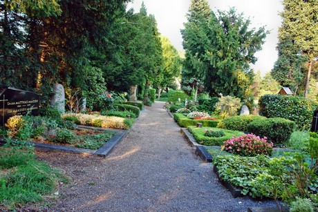 friedhof