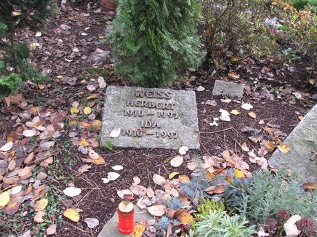 friedhof