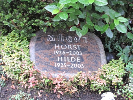friedhof