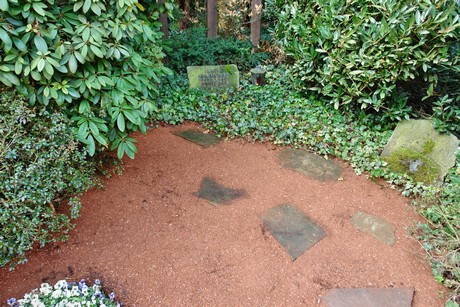 rodenkirchen