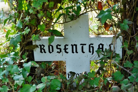 rodenkirchen