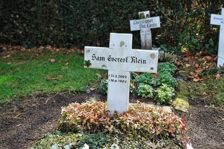 rodenkirchen