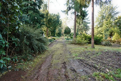 rodenkirchen