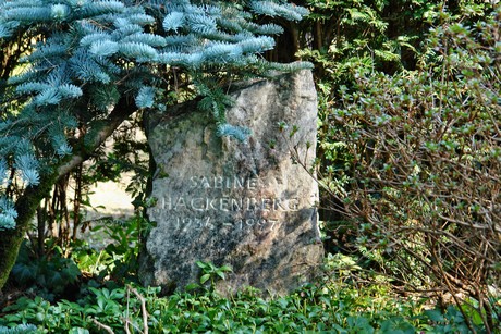 rodenkirchen