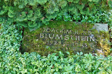rodenkirchen