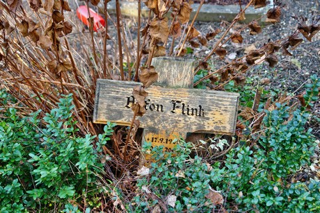 rodenkirchen