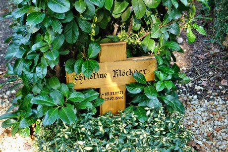 rodenkirchen