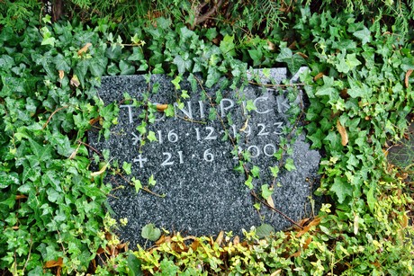 friedhof-rondorf