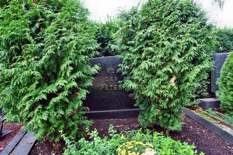 friedhof-rondorf