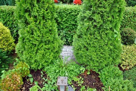 friedhof-rondorf