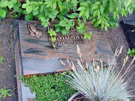 friedhof