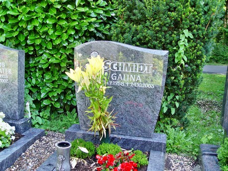 friedhof