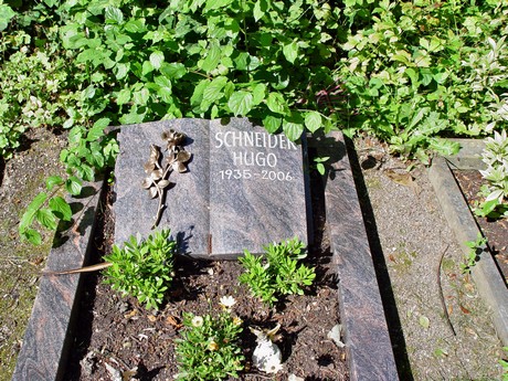 friedhof
