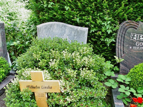 friedhof