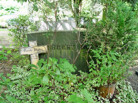 friedhof