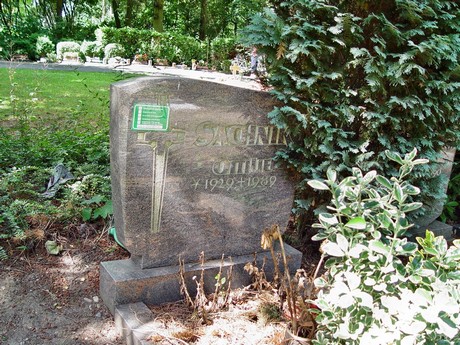 friedhof