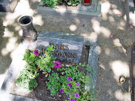 friedhof