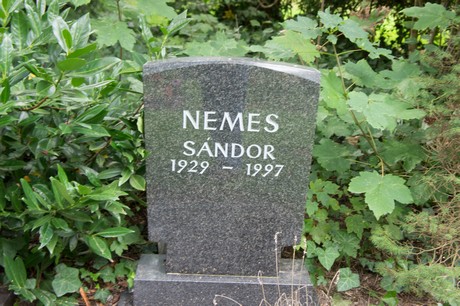 friedhof