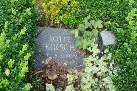 friedhof