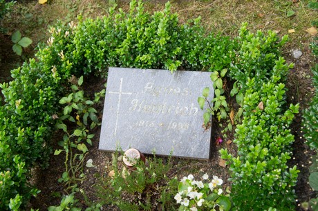friedhof