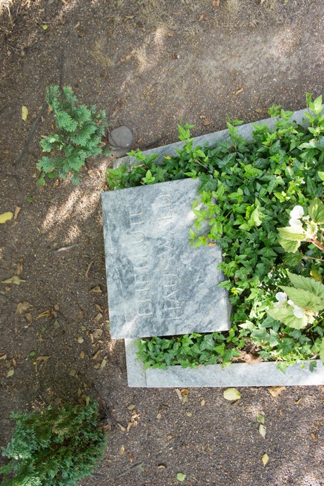 friedhof