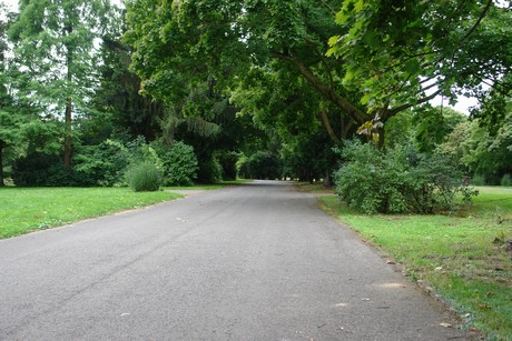 steinneuerweg