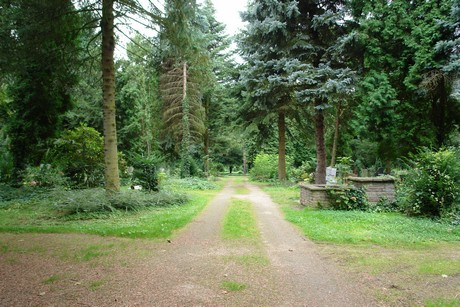 steinneuerweg