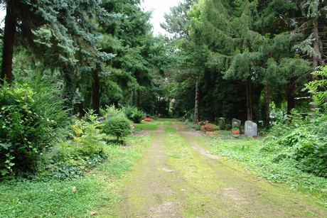 steinneuerweg