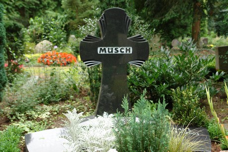 steinneuerweg