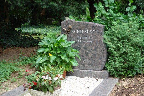 steinneuerweg