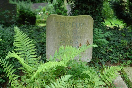 steinneuerweg