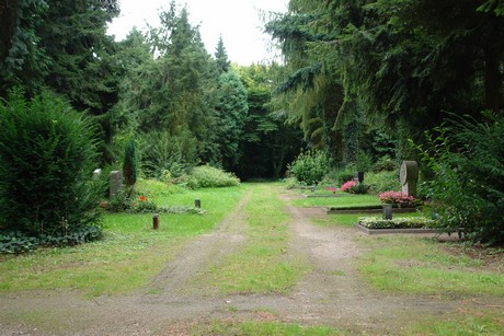 steinneuerweg