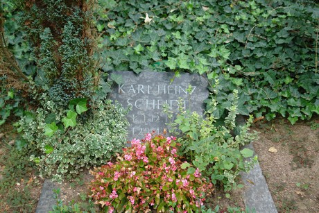 steinneuerweg