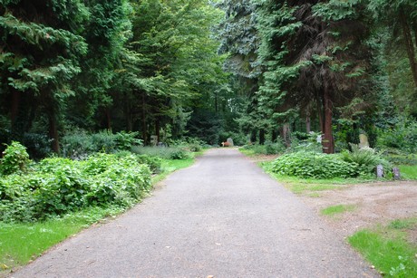 steinneuerweg