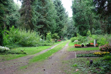 steinneuerweg