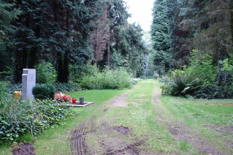 steinneuerweg