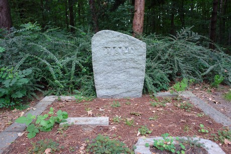 steinneuerweg