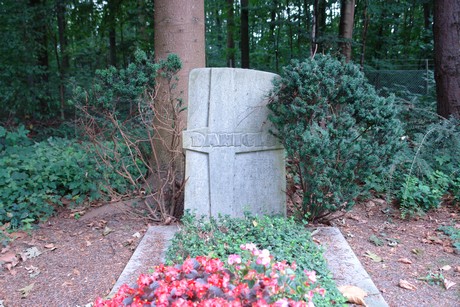 steinneuerweg