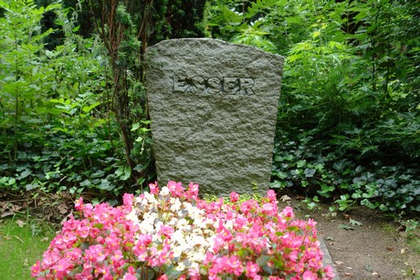 steinneuerweg