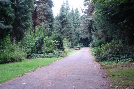 steinneuerweg